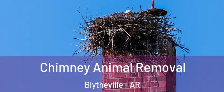  Chimney Animal Removal Blytheville - AR