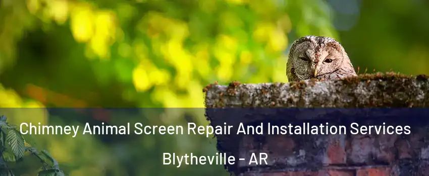  Chimney Animal Screen Repair And Installation Services Blytheville - AR