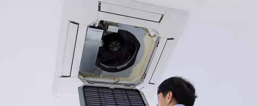 Benefits of Professional Air Duct Cleaning in Blytheville, Arkansas