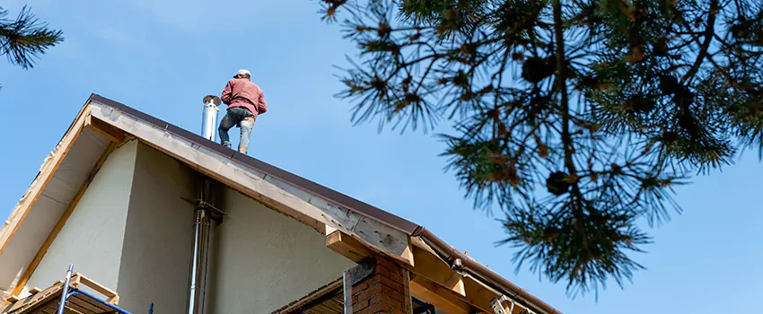 Birds Removal Contractors from Chimney in Blytheville, AR